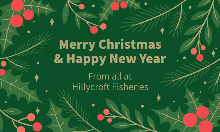 Festive Opening Times 2025